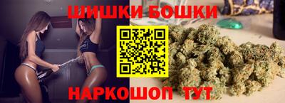 индика Татарск