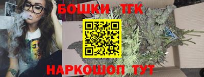 индика Татарск
