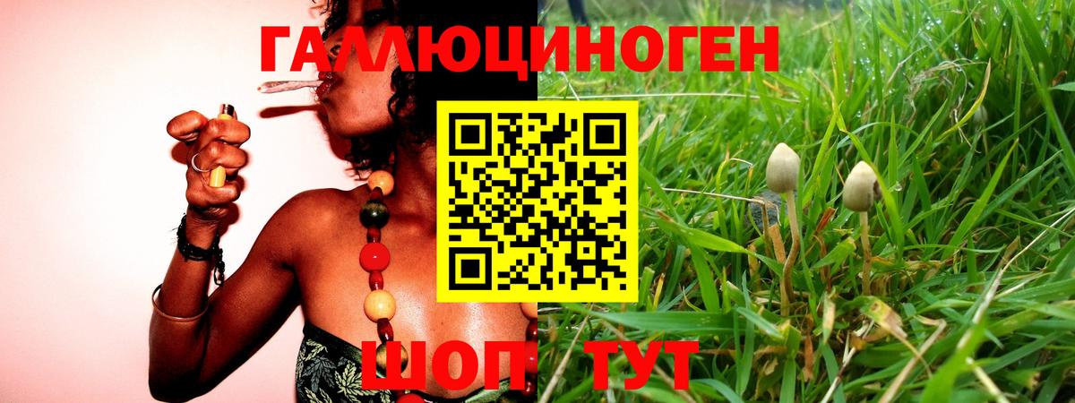 купить наркотики цена  Галлюциногенные грибы GOLDEN TEACHER  Вход с VPN  Галлюциногенные грибы GOLDEN TEACHER  Астрахань 