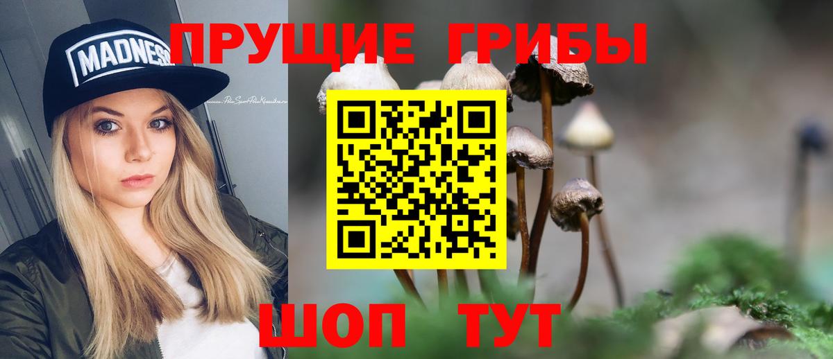 Галлюциногенные грибы MAGIC MUSHROOMS Астрахань